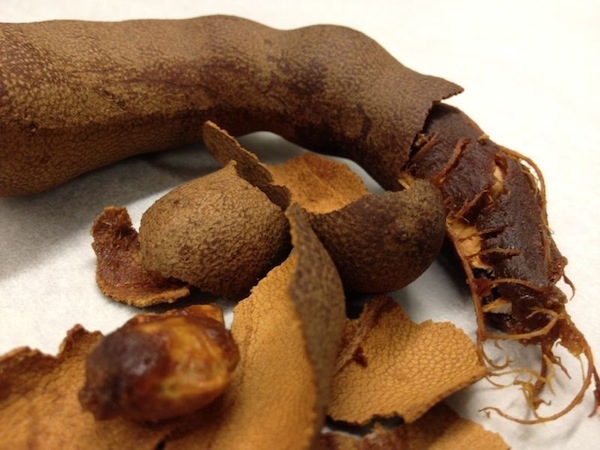 Tamarindo, una fruta muy saludable