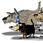 Cuatro de cada diez hogares de Vitoria tienen perro tras dispararse su número en pandemia