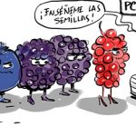 La fruta para Europa y el Brexit disparan la actividad en el Puesto Fronterizo de Foronda