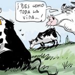 «El ganadero también invierte en tecnología para lograr carne sin matar animales»
